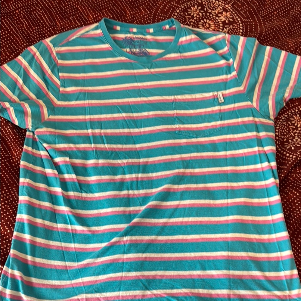 Striped Chubbies T-Shirt - Teal and Pink